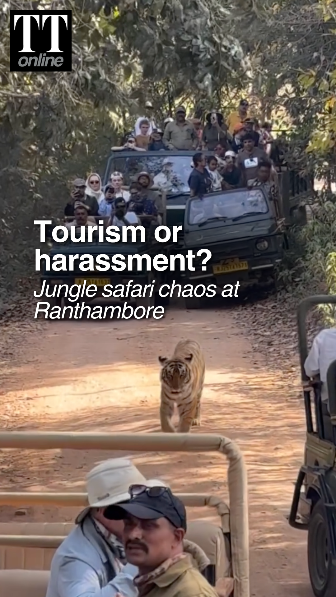 'Traffic Jam' In Ranthambore Traps Tiger in Its Own Jungle, Tourist Chaos Goes Out of Hand
