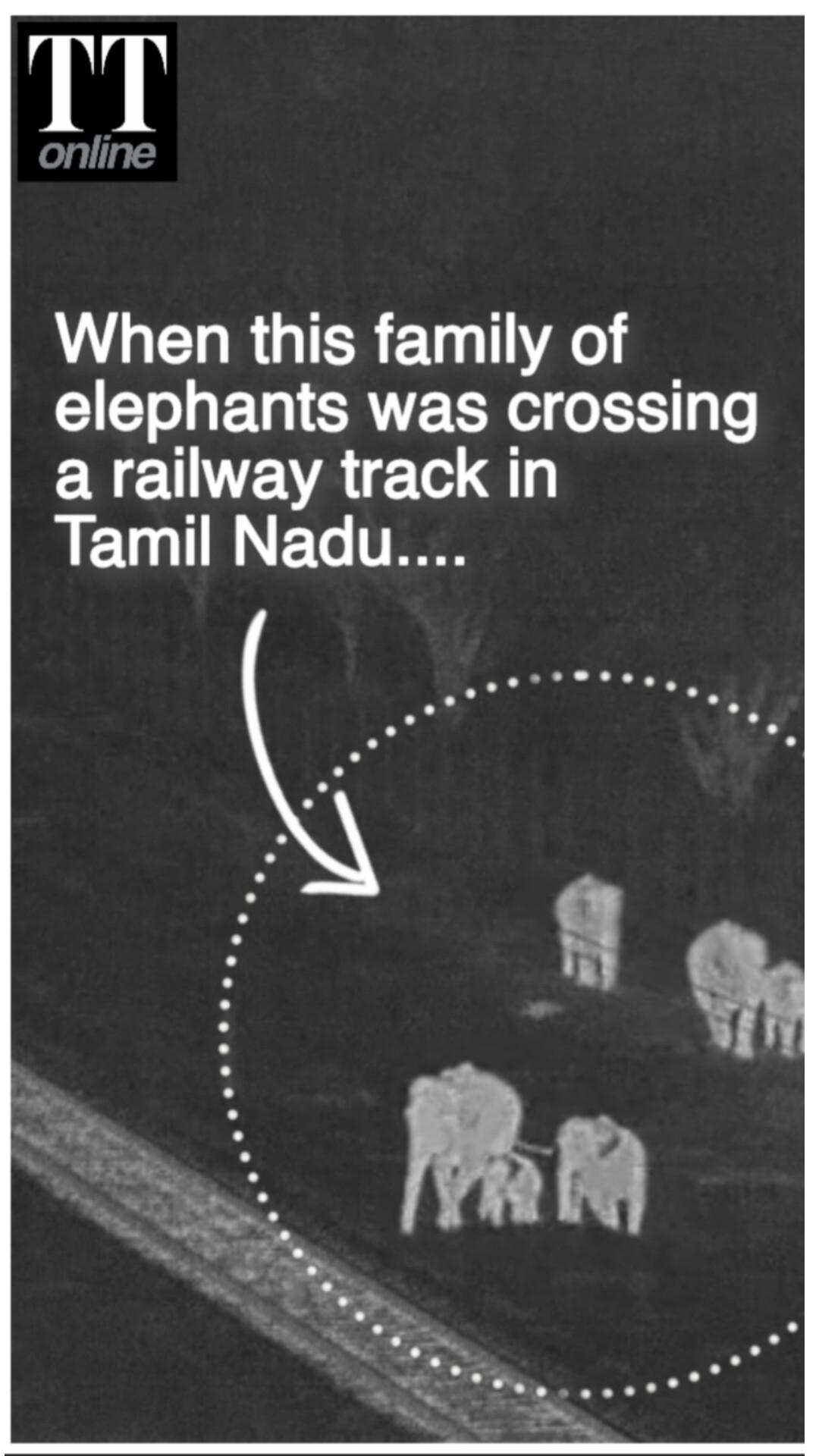 How AI-Powered Early Warning System Has Helped 6,592 Elephants Safely Cross Railway Lines