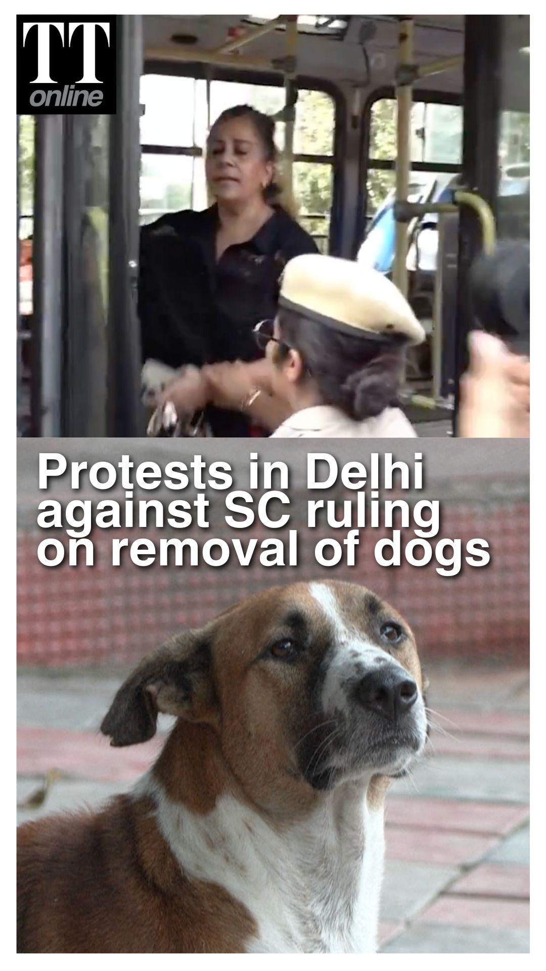 Animal Activists Detained in Delhi While Protesting Against SC Ruling On Removal of Street Dogs