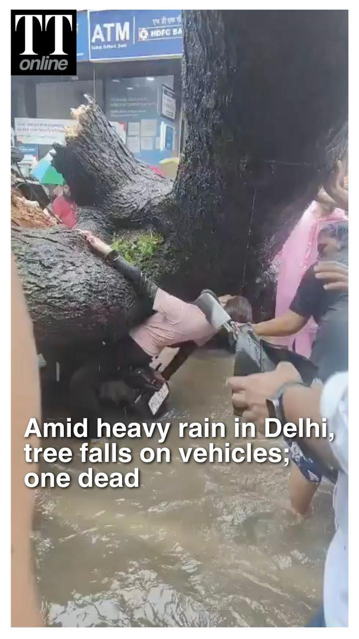 Man Killed, Woman Left Struggling When a Huge Tree Fell on Vehicles After Delhi Rains