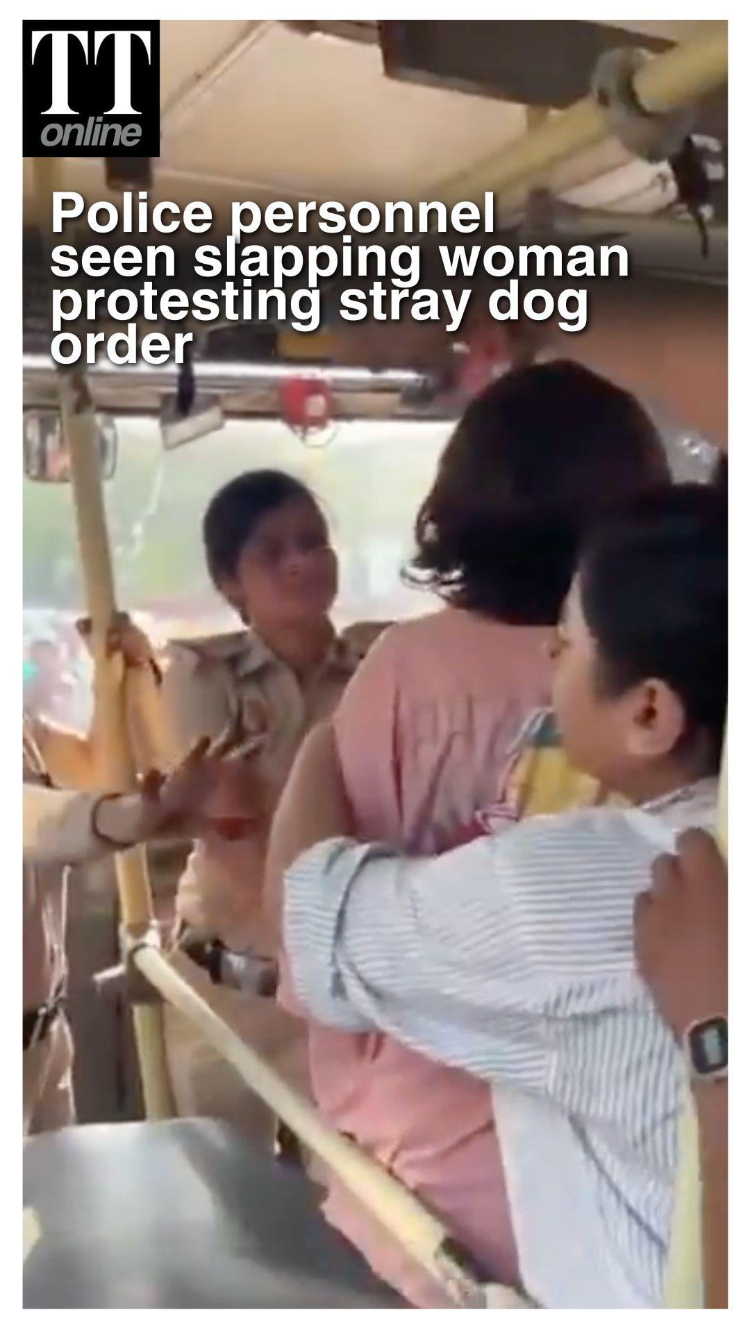 Activists Allege Police Brutality At Protest Against SC Ruling on Removal of Street Dogs