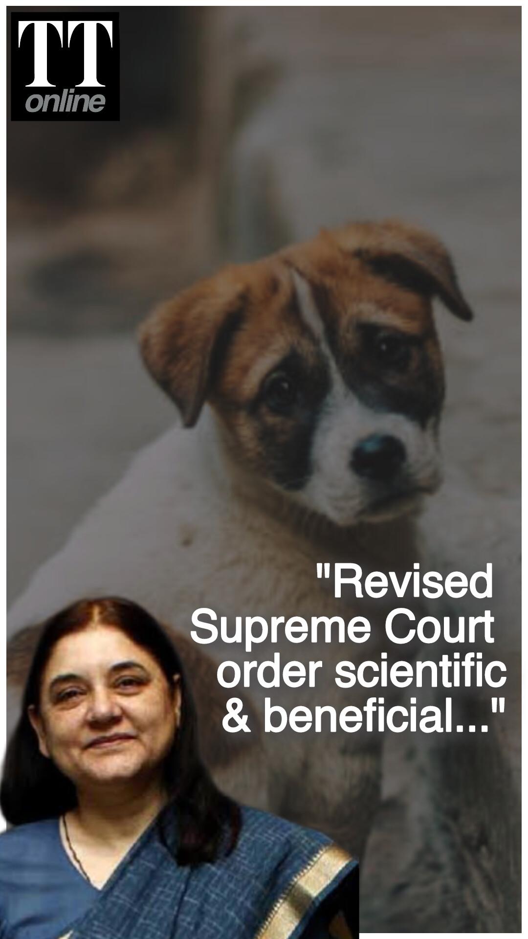 Maneka Gandhi Hails Supreme Court's Revised Order on Stray Dogs in Delhi