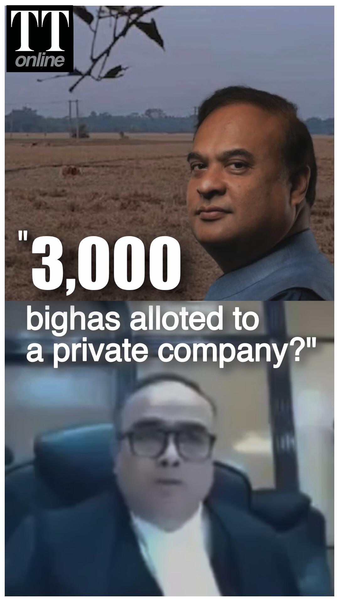 Assam Land Deal Shocks High Court Judge — "3,000 Bighas to a Cement Firm? Is it a Joke?'
