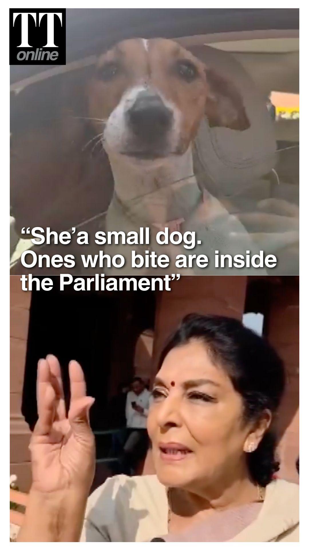 "Ones Who Bite Are Sitting Inside Parliament": Renuka Chowdhury Brings Dog, Asks if Any Rule Bars It