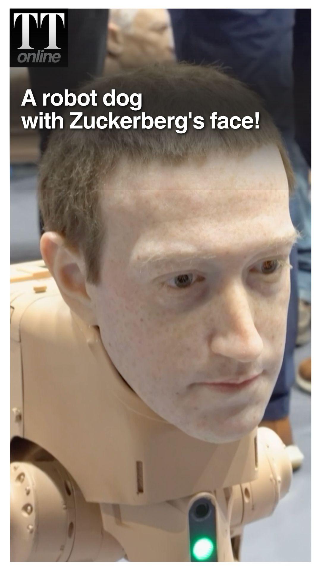 Elon Musk, Zuckerberg, Jeff Bezos Reimagined as 'Picture-Pooping' Dogs at Art Basel