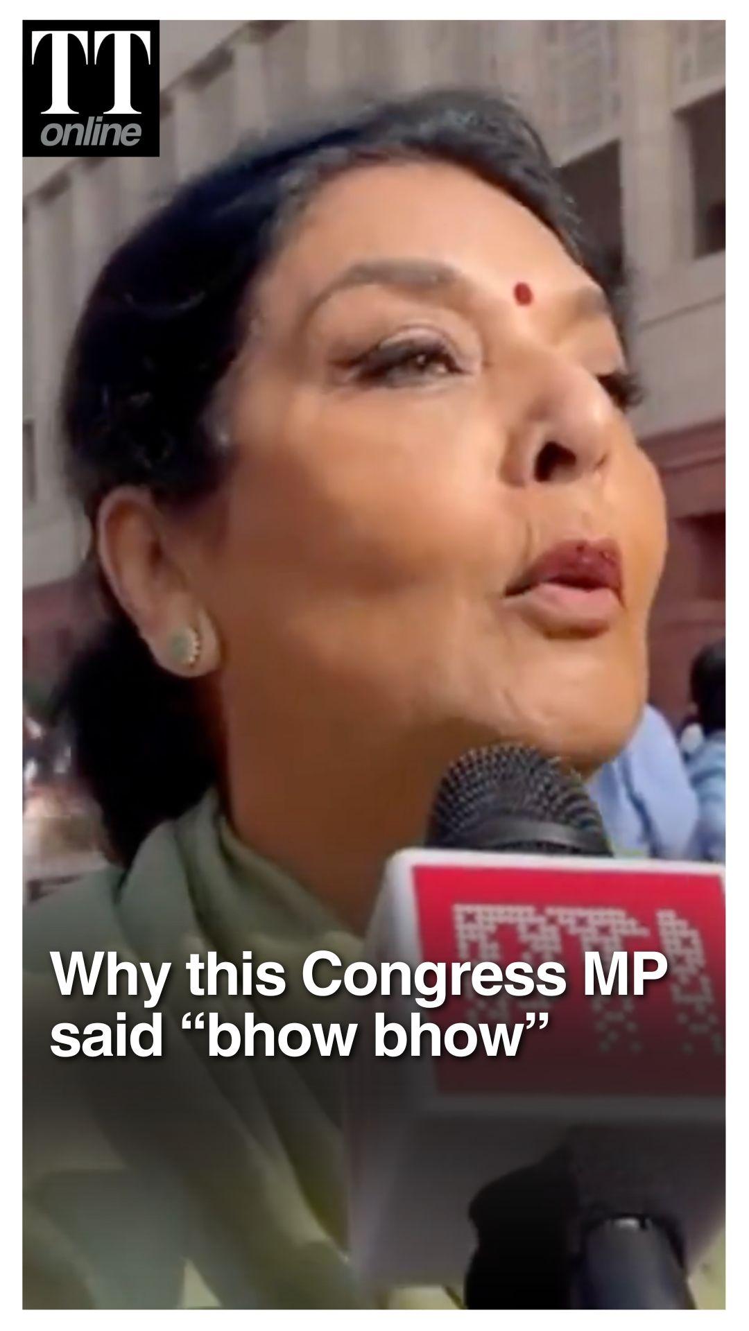 "Bhow Bhow..." Says Renuka Chowdhury On Privilege Motion Over Dog Remark, Rahul Gandhi Reacts