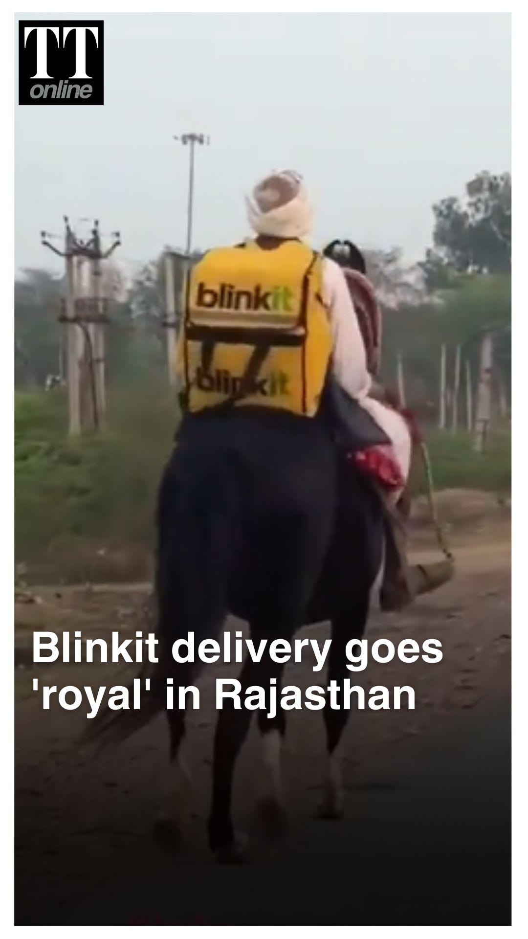 Horseback Delivery in Rajasthan? Blinkit Order Goes Full Royal Mode