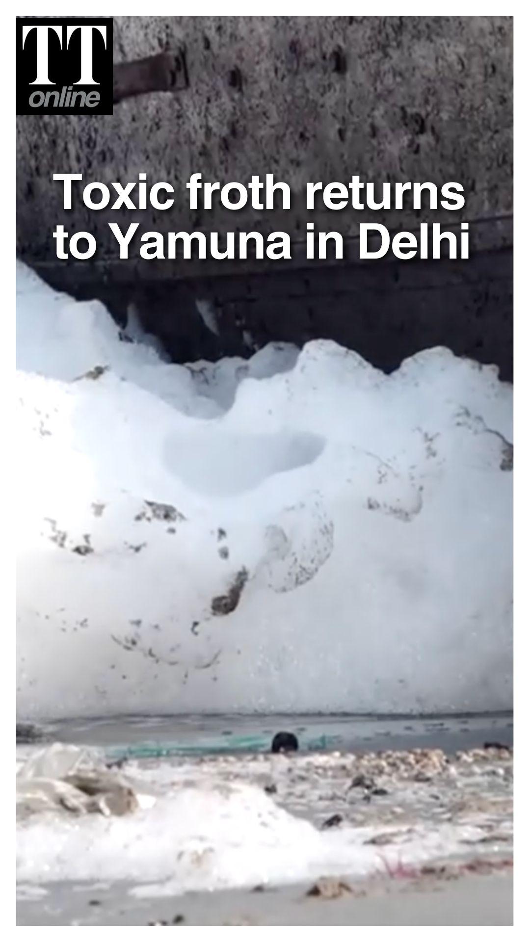 Toxic Froth Returns to Yamuna In Delhi, Raising Health and Environmental Concerns