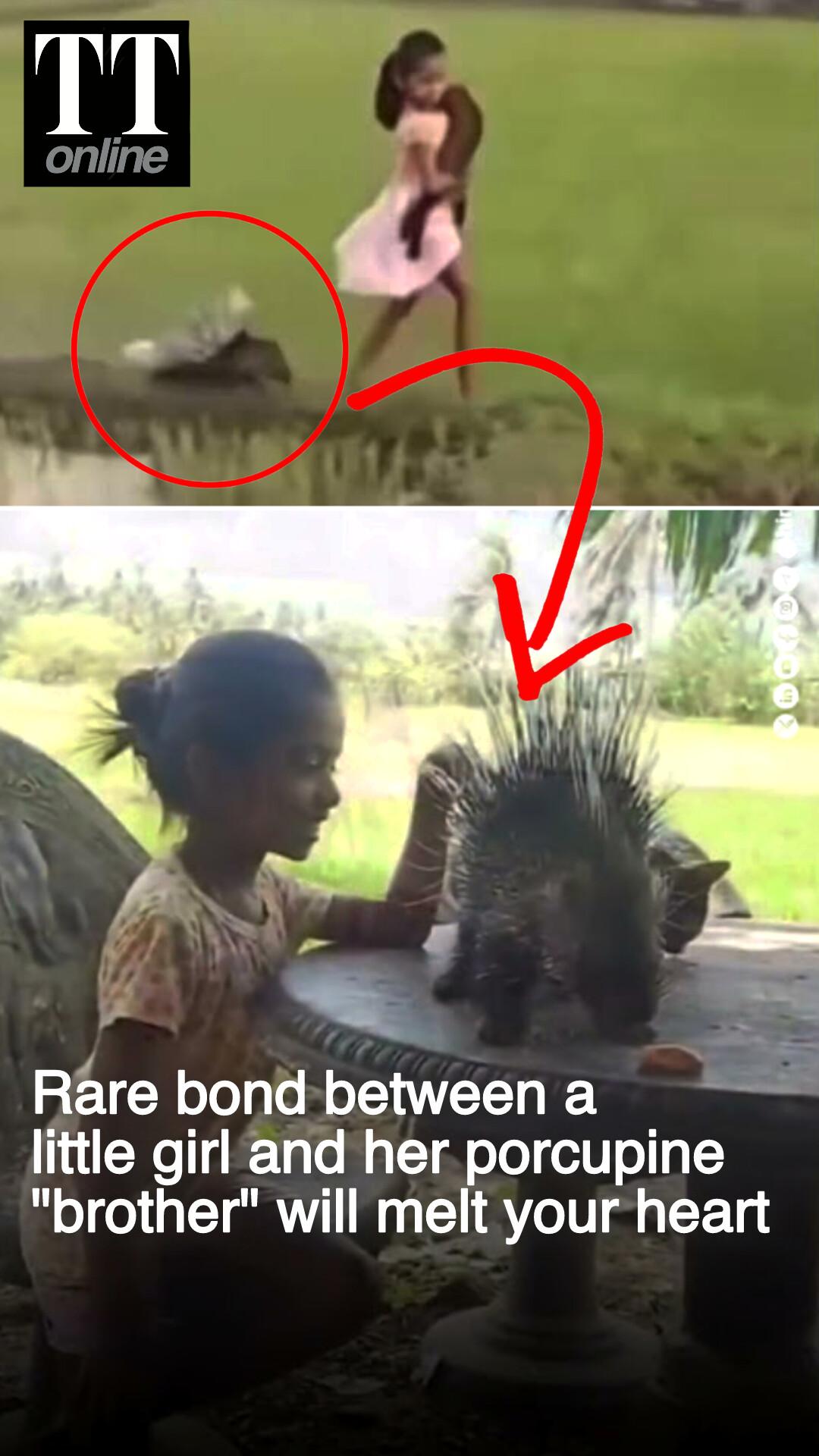 "Disney Princess" From Sri Lanka Seen Walking Her Pet Porcupine, a Civet in Her Arms