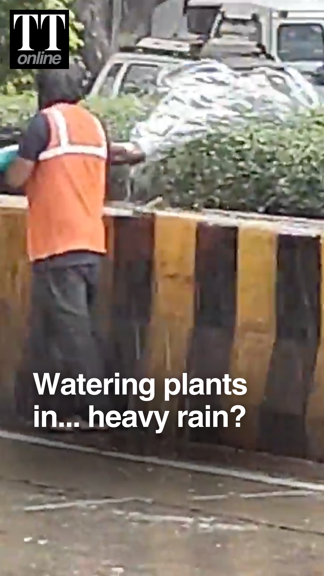 Viral: Pune Workers Water Plants During Heavy Rain