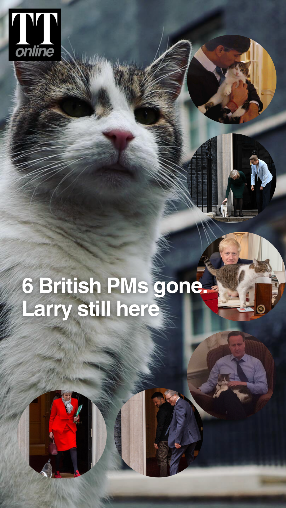 Larry the Cat: The Only Survivor of British Politics, Outlasts 6 PMs