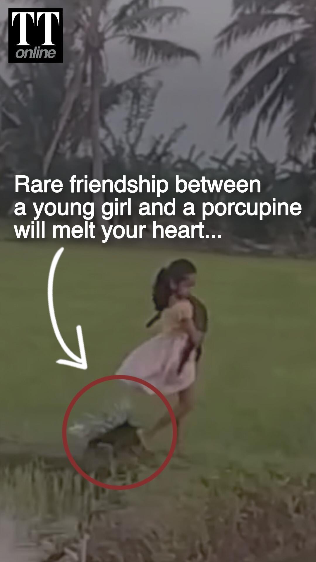 Young Girl in Bangladesh Casually Walks Her Pet Porcupine, a Civet in Her Arms