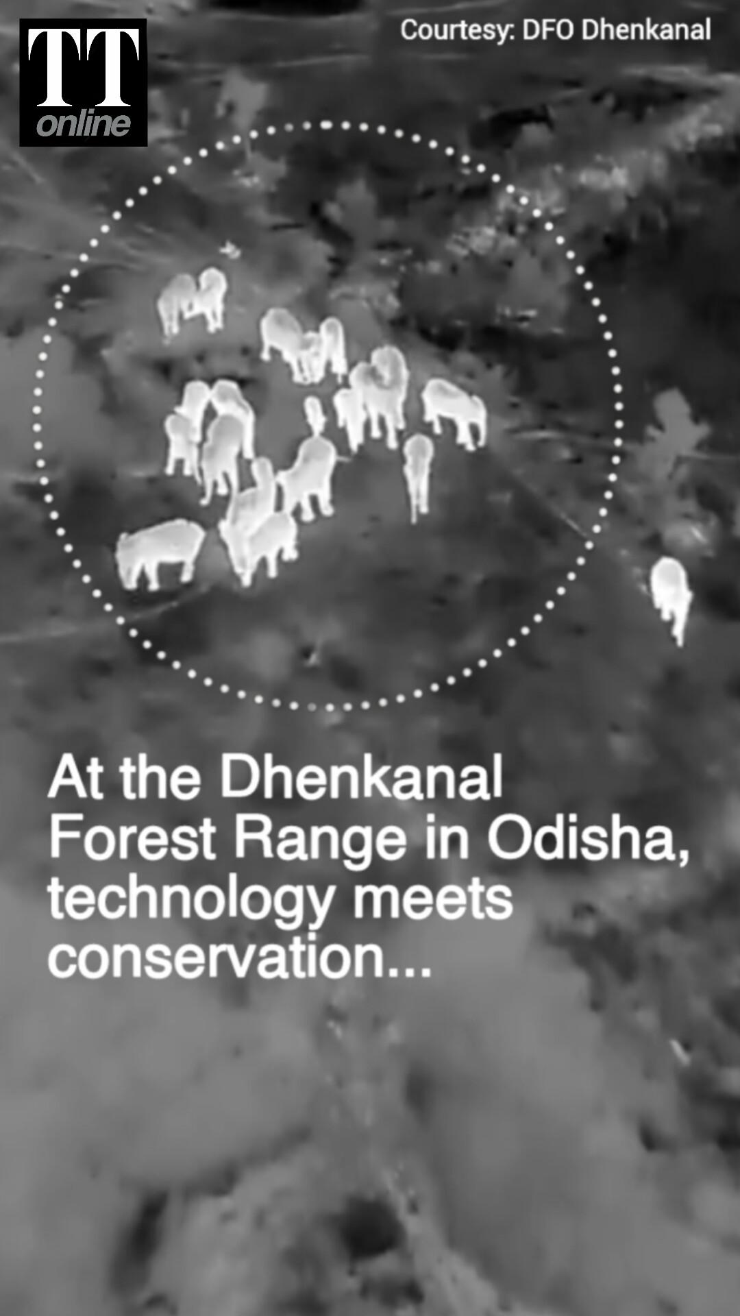 Thermal Drone Surveillance for Elephant Safety at Dhenkanal Forest Range in Odisha