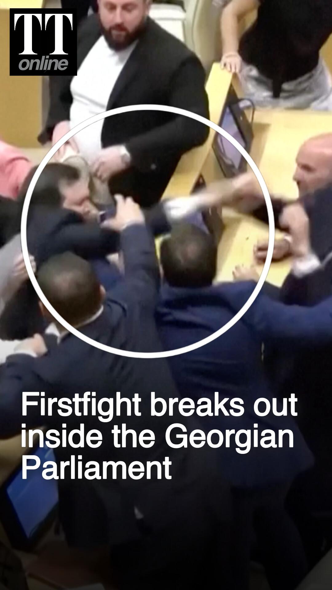 Fistfight Erupts in Georgia’s Parliament, Session Suspended, Video Goes Viral