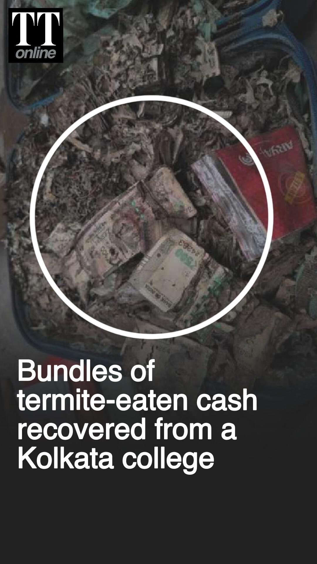 Termite-eaten Cash Worth Lakhs Recovered From a Kolkata College Students' Union Room