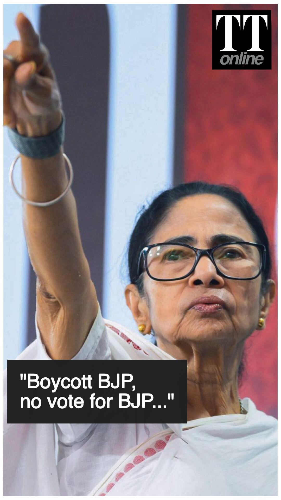 TMC Will Win More Than 226 Seats in the Bengal Elections, Says Mamata Banerjee