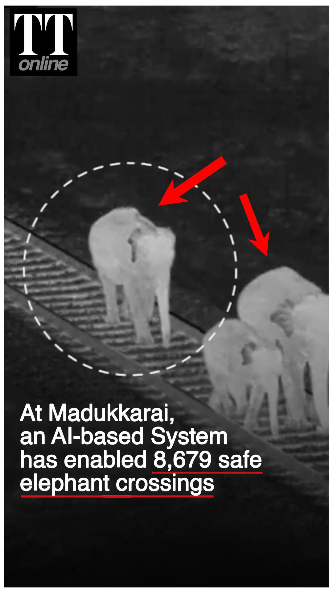 How AI-Powered Early Warning System Has Helped 8,679 Elephants Safely Cross Railway Lines