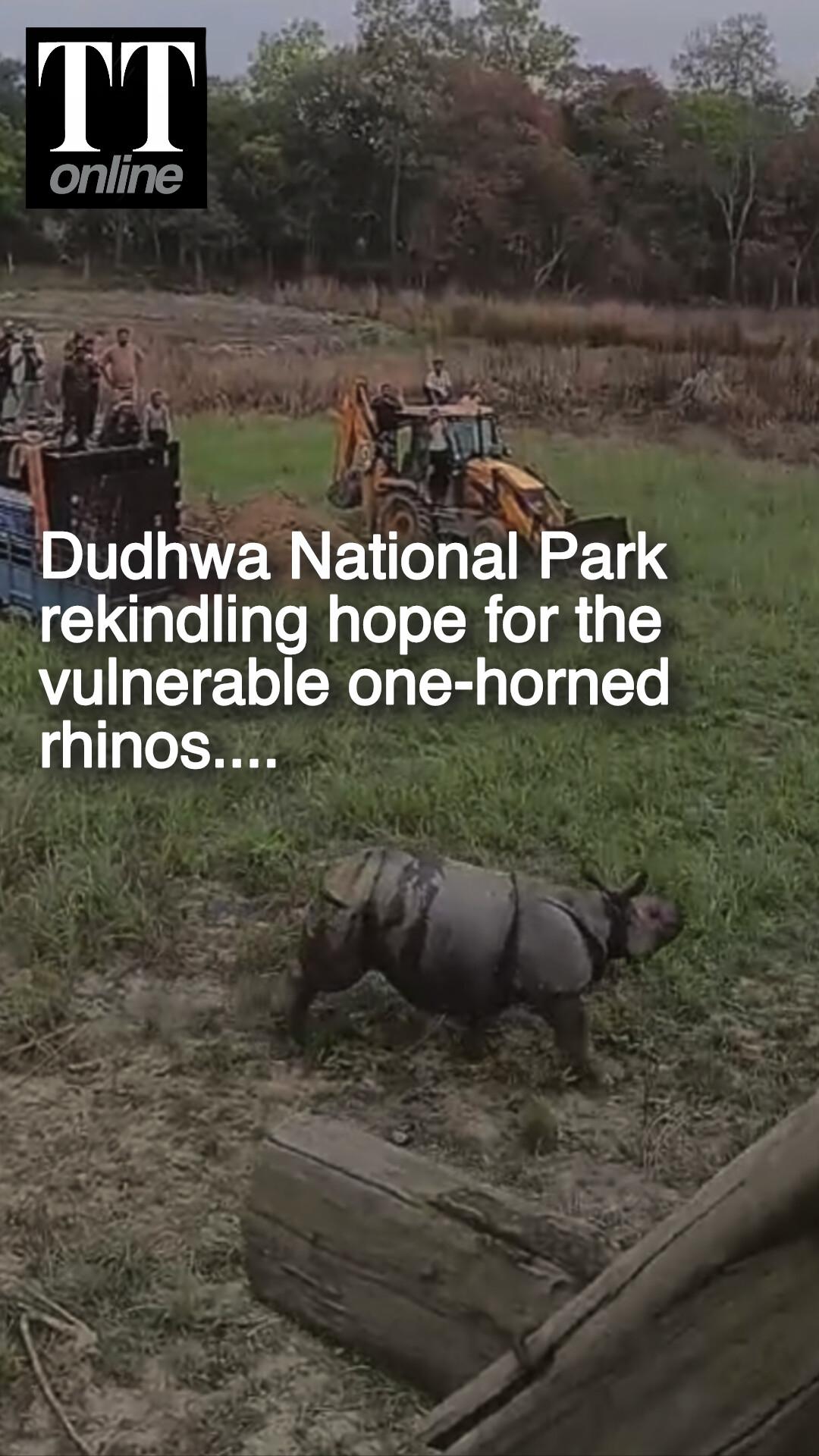 How 4 One-horned Rhinos Released In Dudhwa National Park Rekindled Hopes