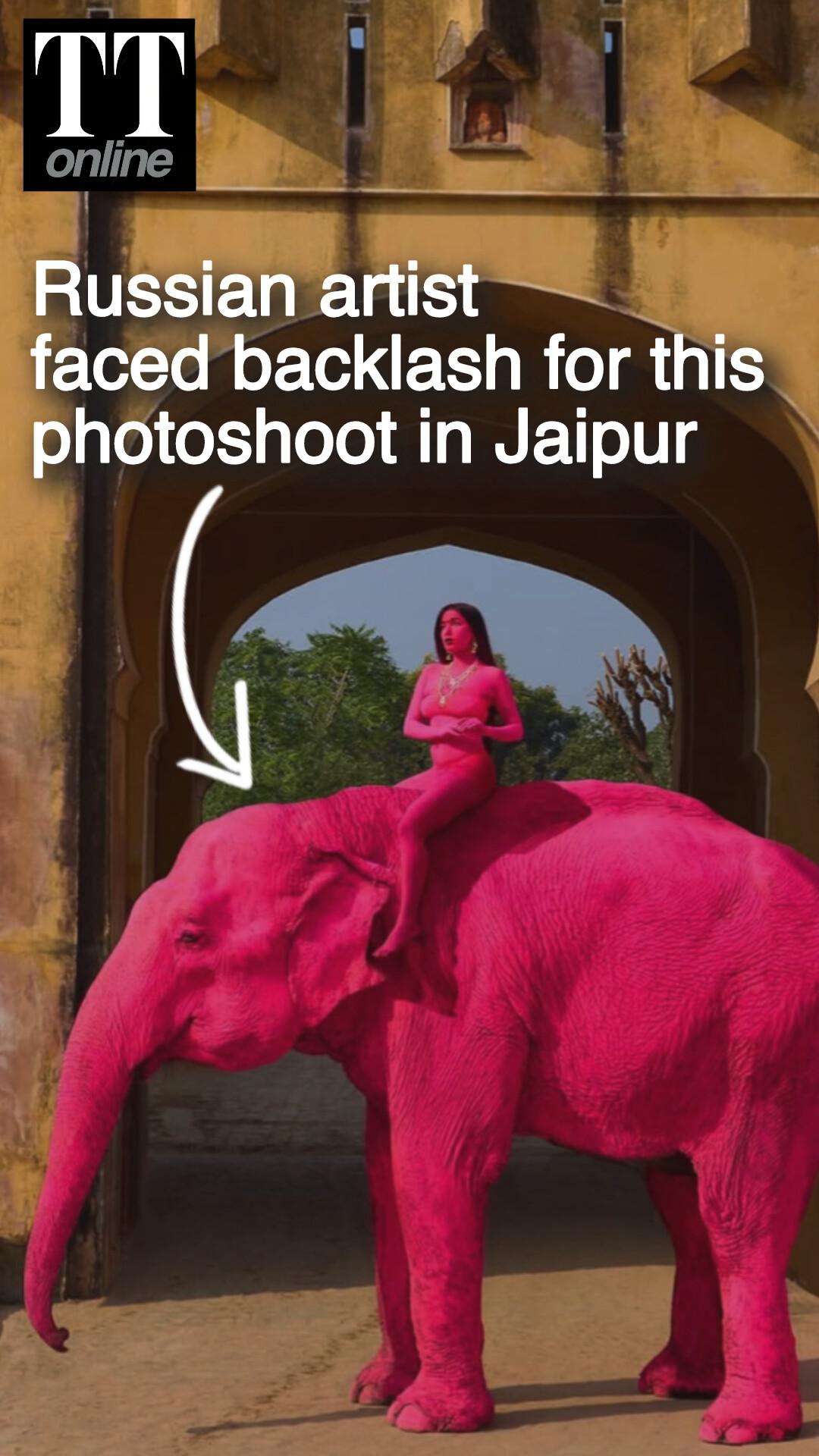 Why a Russian Photographer Faced Backlash For Elephant Photoshoot in Jaipur