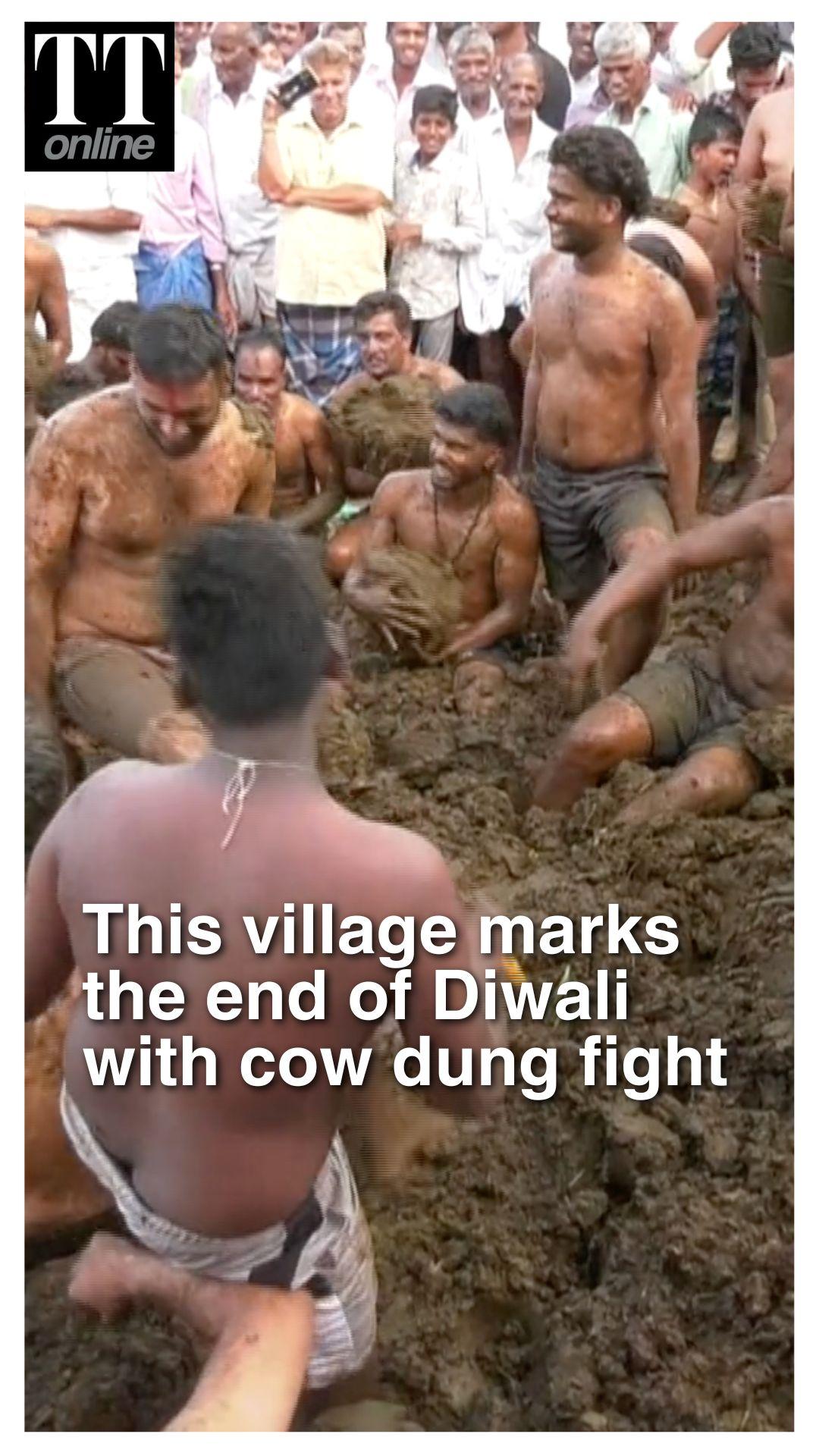 Devotees Mark End of Diwali With Cow Dung Fight in Gummatapura Village for Gorehabba Festival