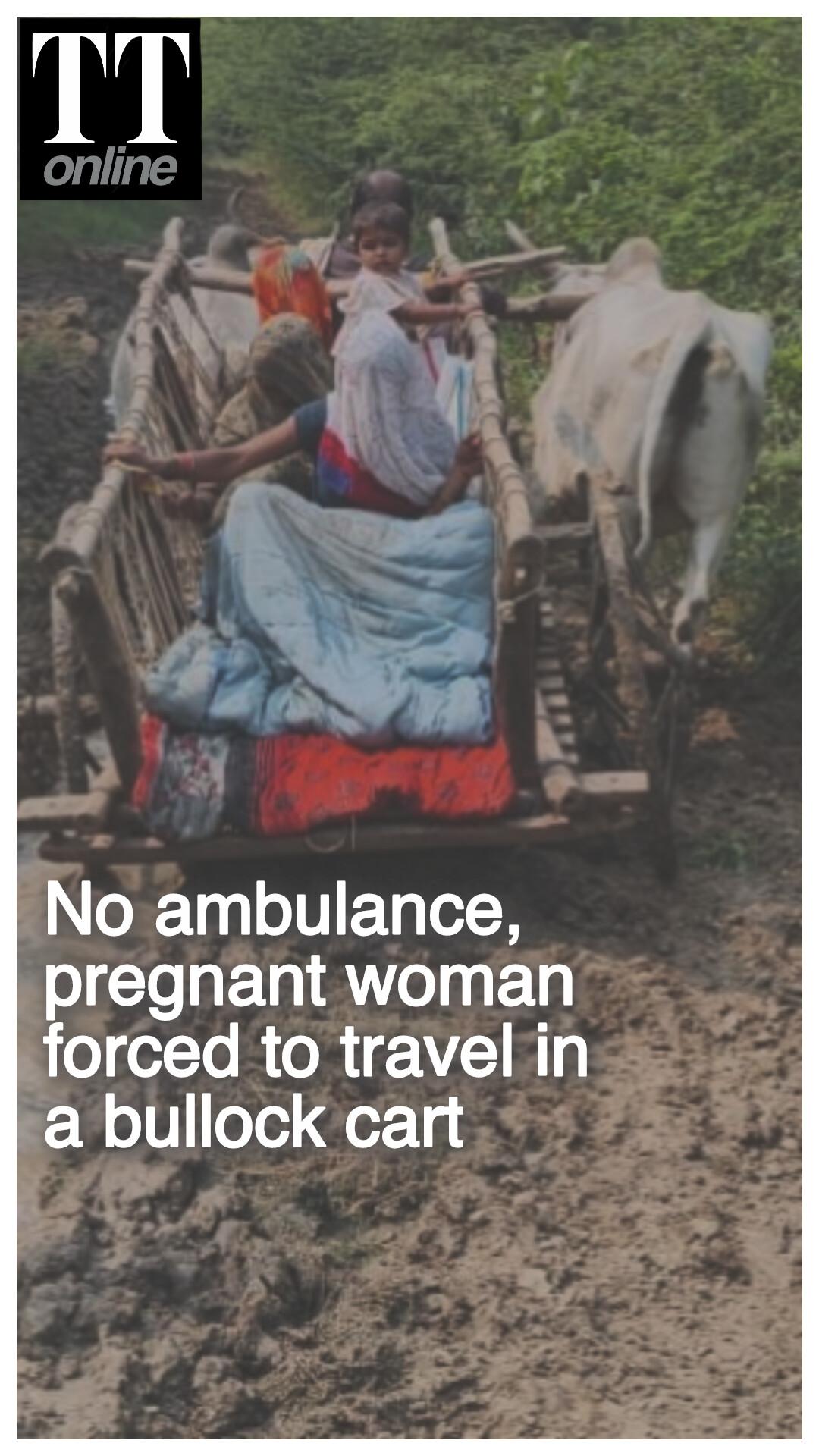 Pregnant Woman in UP Travels 3 km in a Bullock Cart Through Muddy, Pothole-filled Road