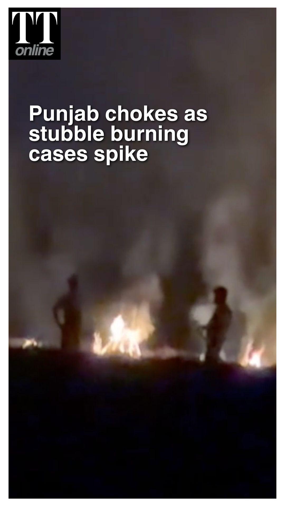 Punjab Sees Sharp Spike in Stubble Burning, 484 Farm Fires Recorded