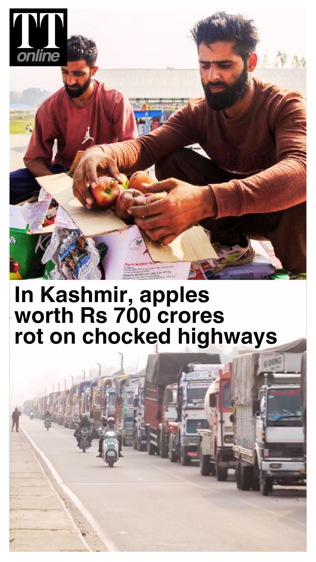 Kashmir Apple Crisis: Rs 700 Crore Rot as Srinagar-Jammu Highway Stays Shut